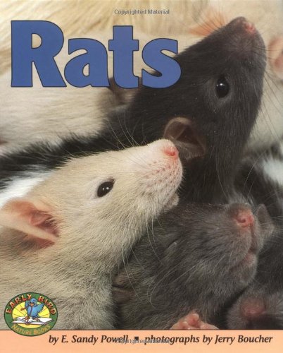 Stock image for Rats (Early Bird Nature Books) for sale by Irish Booksellers