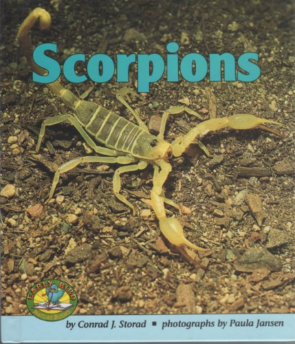 Beispielbild fr Scorpions zum Verkauf von Better World Books