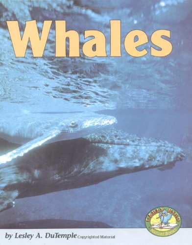 Stock image for Whales for sale by Better World Books: West