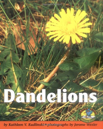 Imagen de archivo de Dandelions a la venta por Better World Books