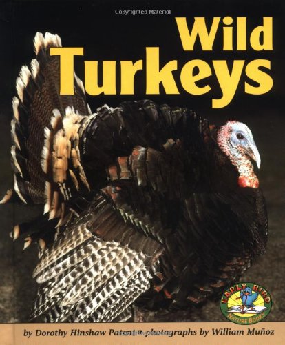 Imagen de archivo de Wild Turkeys a la venta por Better World Books