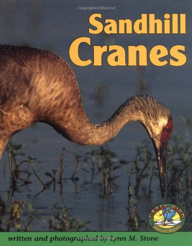 Beispielbild fr Sandhill Cranes (Early Bird Nature Books) zum Verkauf von Jenson Books Inc