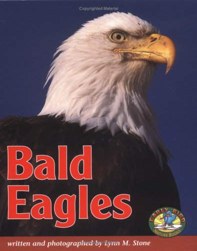 Imagen de archivo de Bald Eagles (Early Bird Nature Books) a la venta por Ergodebooks