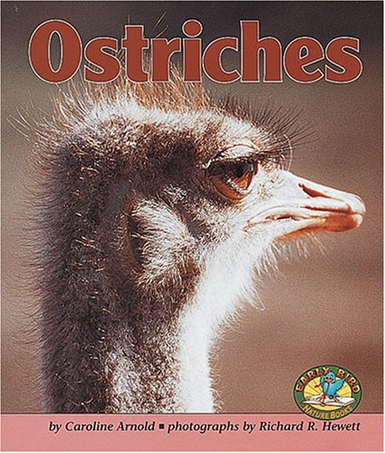 Imagen de archivo de Ostriches a la venta por ThriftBooks-Atlanta