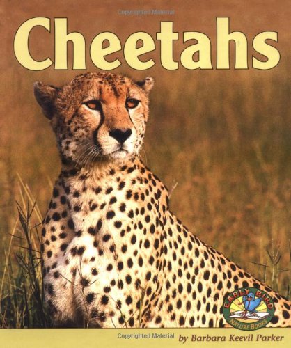 Beispielbild fr Cheetahs zum Verkauf von ThriftBooks-Atlanta