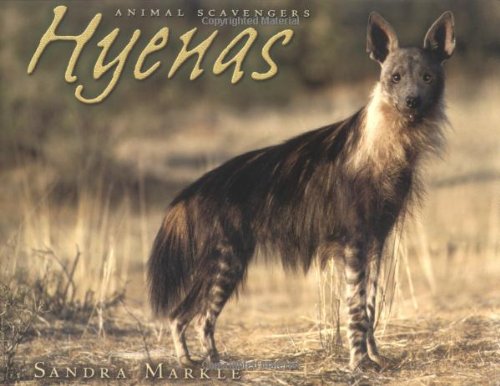 Stock image for Animal Scavengers: Hyenas for sale by Bookster