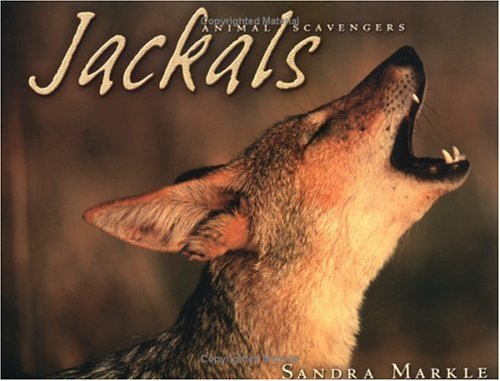 Stock image for Jackals (Animal Scavengers) for sale by Ergodebooks