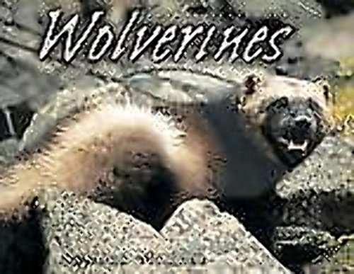 Stock image for Wolverines for sale by Better World Books: West