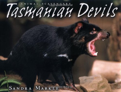 9780822531999: Tasmanian Devils (Animal Scavengers)