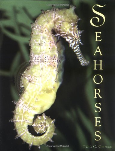 Stock image for Seahorses for sale by -OnTimeBooks-