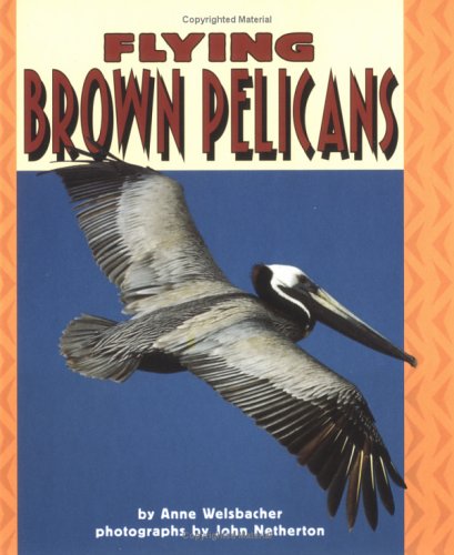 Beispielbild fr Flying Brown Pelicans zum Verkauf von ThriftBooks-Dallas