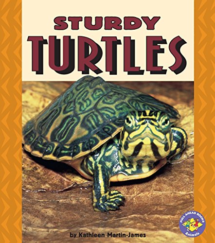 Stock image for Sturdy Turtles for sale by ThriftBooks-Atlanta