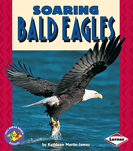 9780822536406: Soaring Bald Eagles (Pull Ahead Books)