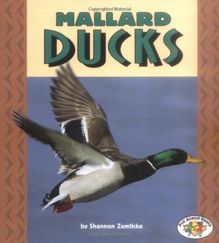 Beispielbild fr Mallard Ducks zum Verkauf von Better World Books