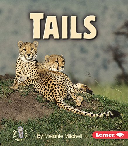 Stock image for Tails (First Step Nonfiction ? Animal Traits) for sale by SecondSale