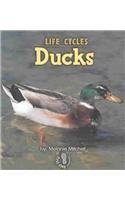 9780822546030: Ducks (First Step Nonfiction)