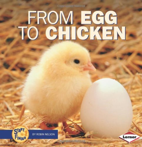 Beispielbild fr From Egg to Chicken (Start to Finish) zum Verkauf von GF Books, Inc.