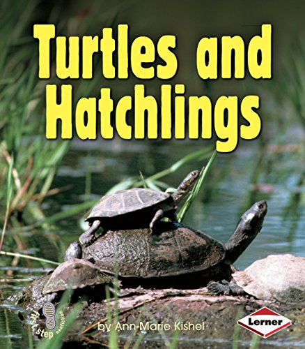 Stock image for Turtles and Hatchlings (First Step Nonfiction ? Animal Families) for sale by Your Online Bookstore