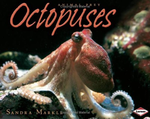 Beispielbild fr Octopuses (Animal Prey) zum Verkauf von Books of the Smoky Mountains