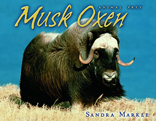 Stock image for Musk Oxen for sale by Better World Books: West