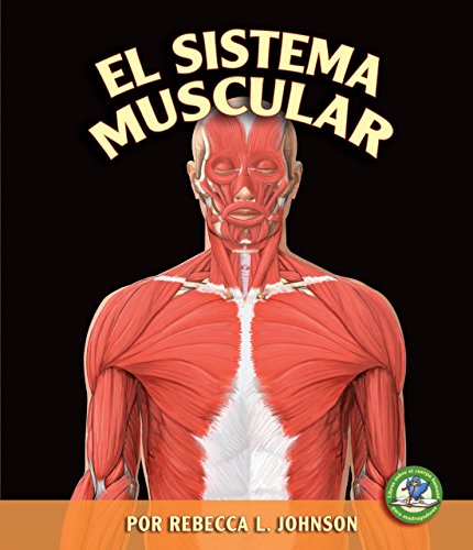 9780822562542: El Sistema Muscular (the Muscular System) (Libros Sobre El Cuerpo Humano Para Mandrugadores/early Bird Body Systems)