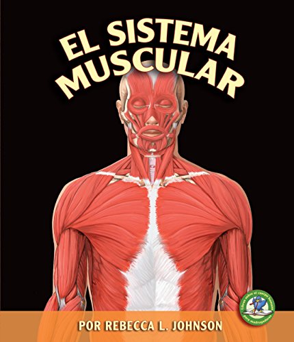 Imagen de archivo de El Sistema Muscular (the Muscular System) a la venta por ThriftBooks-Atlanta