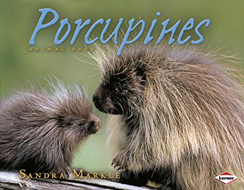 Beispielbild fr Porcupines zum Verkauf von Better World Books