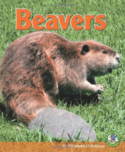 Stock image for Beavers for sale by Better World Books
