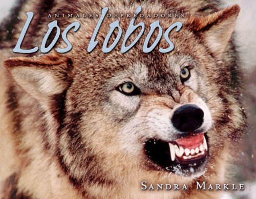 Los Lobos/wolves (Animales Depredadores/animal Predators) (Spanish Edition) (9780822564898) by Markle, Sandra