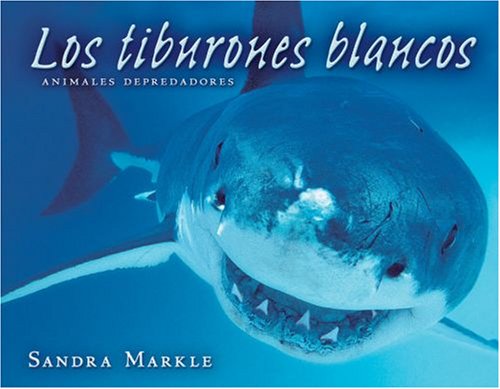 9780822566274: Los Tiburones Blancos / Great White Sharks (Animales Depredadores / Animal Predators)