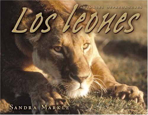 Los Leones / Lions (Animales Depredadores / Animal Predators) (Spanish Edition) (9780822566281) by Markle, Sandra