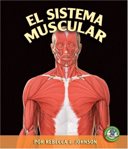 9780822566502: El Sistema Muscular/ The Muscular System (Libros Sobre El Cuerpo Humano Para Mandrugadores/early Bird Body Systems)