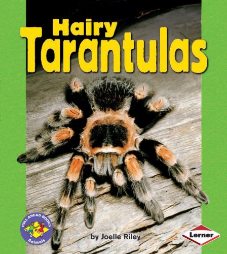 Beispielbild fr Hairy Tarantulas zum Verkauf von Better World Books