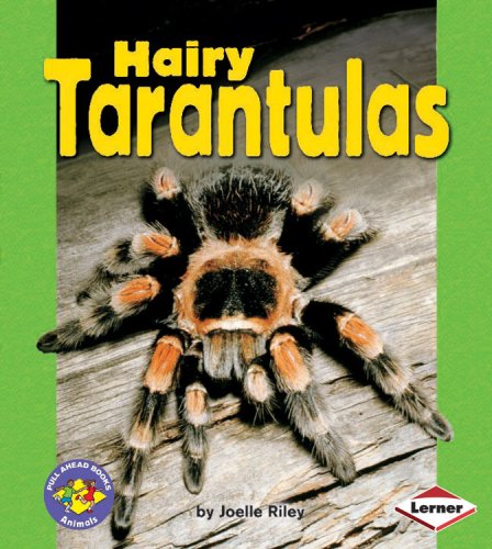 Stock image for Hairy Tarantulas for sale by Better World Books