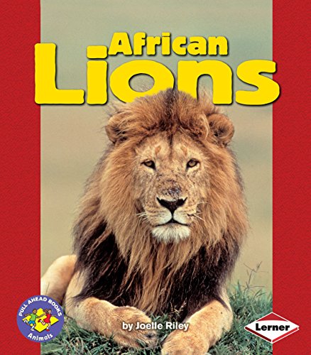 Stock image for African Lions Format: Paperback for sale by INDOO
