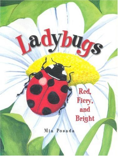 Beispielbild fr Ladybugs: Red, Fiery, and Bright zum Verkauf von Hawking Books