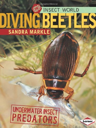 Beispielbild fr Diving Beetles: Underwater Insect Predators (Insect World) zum Verkauf von Front Cover Books