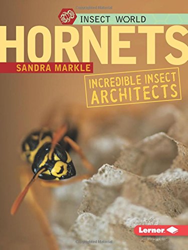 Stock image for Hornets : Incredible Insect Architects for sale by Better World Books