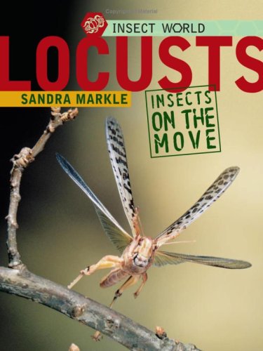 Imagen de archivo de Locusts: Insects on the Move (Insect World) a la venta por Ergodebooks