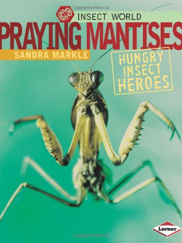 Stock image for Praying Mantises : Hungry Insect Heroes for sale by Better World Books: West