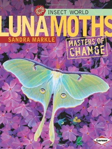 9780822573029: Luna Moths: Masters of Change (Insect World)