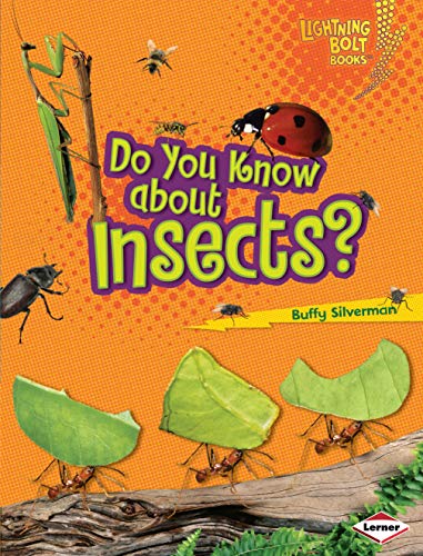 Do You Know about Insects? (Lightning Bolt Books Â® â€• Meet the Animal Groups) (9780822575443) by Silverman, Buffy