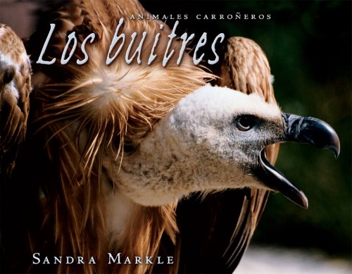 Los Buitres (Animales Carroneros) (Spanish Edition) - Markle, Sandra