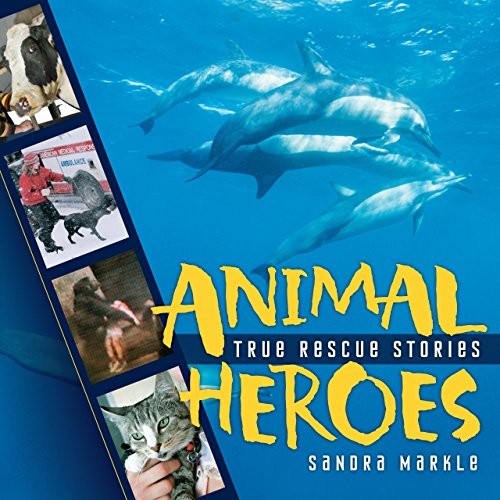 Beispielbild fr Animal Heroes: True Rescue Stories zum Verkauf von Books-FYI, Inc.