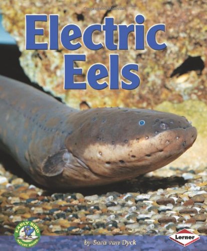Stock image for Electric Eels (Early Bird Nature Books) for sale by Books of the Smoky Mountains
