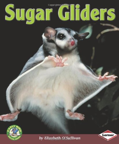 Stock image for Sugar Gliders for sale by Better World Books