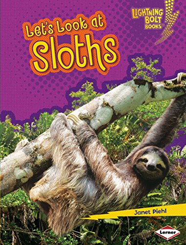 9780822579007: Let's Look at Sloths (Lightning Bolt Books  ― Animal Close-Ups)