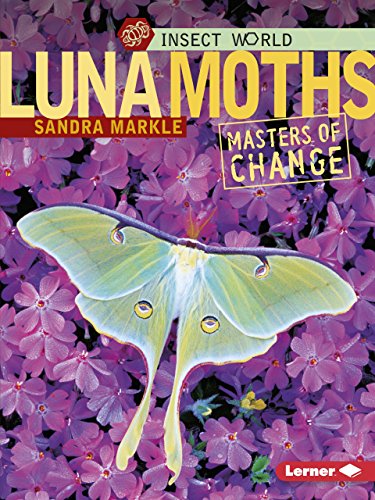 Beispielbild fr Luna Moths: Masters of Change (Insect World) zum Verkauf von Hafa Adai Books