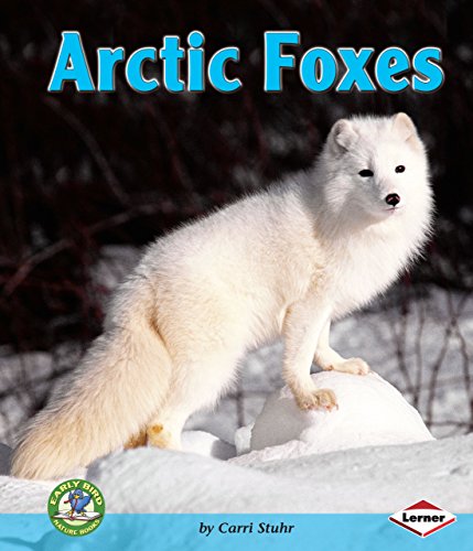 Beispielbild fr Arctic Foxes zum Verkauf von Better World Books