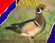9780822597636: Iowa (Hello U.S.A)